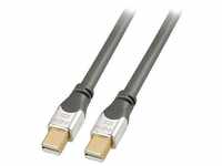 Lindy - 36307 DisplayPort 2 m Kabel