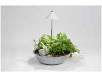 Parus by Venso SUNLiTE 7W led Vollspektrum Pflanzenlampe Weiß, Indoor Plants
