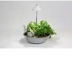 Digebis - Venso Led-pflanzenlampe Sunlite 230 V Led Fest Eingebaut 7 W Neutralwei&szlig; 1