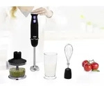 01.221220.01.001 Stabmixer 800 W Stufenlose Geschwindigkeitseinstellung Schwarz,