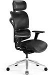 Ergonomischer B&uuml;rostuhl Computerstuhl Chefsessel Diablo V-commander: Schwarz