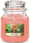 Yankee Candle Kerze The Last Paradise Kerze Im Mittleren Glas : Brenndauer : Bis Zu