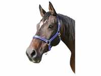 Kerbl - Cabazada Horse Mustang, Nylon, doppelte Einstellung, Blau, Gr¤e 1