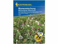 Kiepenkerl - Blumenmischung Münsterländer Blütenmeer - Blumensamen