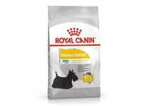 Essen Royal Canin Mini Dermacomfort Hunde der kleinen Rasse (Hautpflege) - 1 kg