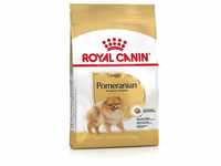 Royal Canin - Pomeranian Adult – Trockenfutter für Hunde – 3 kg