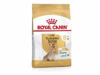 Yorkshire Terrier Erwachsener 8+ 1,5 kg Tasche - Royal Canin