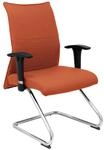 Sessel Albacete Selbstbewusst Brauner Bali-skate