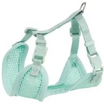 26&ndash;34cm/10mm 2m Menta: Junior Softgeschirr Mit Leine F&uuml;r Welpen
