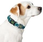 Hundehalsband Hunter Vario Basic Yarns Braun Gr&ouml;&szlig;e S (30-43 Cm)