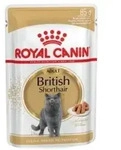 Royal Canin - H&eth;medo Britisch -shorthair Pat, Box 12 Umschlge X 85 G