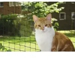 Katzenschutznetz Schwarz Gr&ouml;&szlig;e M 4 X 3 M Balkon-/fensternetz - Nobby