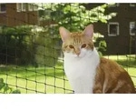 Nobby - Katzenschutznetz Schwarz Gr&ouml;&szlig;e L 8 X 3 M Balkon-/fensternetz