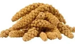 2 Kg Lyra Pet Kolbenhirse Gelb