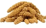 5 Kg Lyra Pet Kolbenhirse Gelb