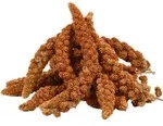 4 Kg Lyra Pet&reg; Kolbenhirse Rot