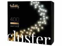 Cluster Weihnachtsbeleuchtung Smart 400 Led aww ii Generation - Twinkly