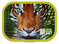 Brotdose campus - animal planet tiger - Mepal