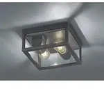 Trio Lighting - Garonne Outdoor Deckenleuchte Doppelte Lampe Aluminiumguss Anthrazit