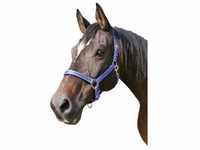Kerbl - Cabazada Horse Mustang, Nylon, doppelte Einstellung, Blau, Gr¤e 3