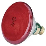 Kerbl Bulb Bullfights Philips 100 W, Rot