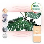 Klarstein - Wonderwall Air Art Smart Infrarotheizung Gr&uuml;nes Blatt 120x60cm 700w