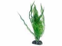 Hobby - Aponogeton - 25 cm - künstliche Aquariumpflanze