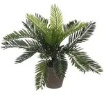 Mica Cycas Palme Gr&uuml;n Im Topf 33 X 34 Cm Kunstpflanzen