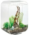 Oase - Life 15 Led Transparent - Life 15 Led Transparent