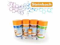 Steinbach - Starterset mit Chlor, Alegzid, Ph Minus, etc.