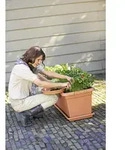 Elho - Untersetzer Green Basics Garden Xxl Tonrot 80 Cm Untersetzer