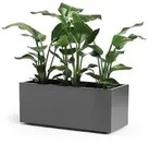 Pflanzkasten Greener Kebe 100 Cm Anthrazit