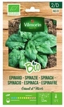 Garden Bio -samen Des Riesigen Winters Щber 10 Gr - Vilmorin