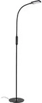 Office Remote Led Stehlampe, Fernbedienung, Dimmbar, Cct Farbtemperatursteuerung,