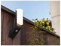 Lutec - Hochwertige led Außenlampe bati für Hauswand mit Bewegungsmelder, alu