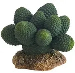 Kaktus Atacama, H&ouml;he 7 Cm - Hobby