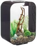 Oase - Life 15 Led Schwarz - Life 15 Led Black