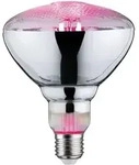 Paulmann - Led-pflanzenlampe Wachstum 230 V E27 6.5 W Bernstein 1 St.