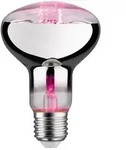 Paulmann Led Grow Green Pflanzenlampe R80 6,5 W E27 Reflektor Leuchtmittel