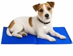 Lionto K&uuml;hlmatte, Angenehme Abk&uuml;hlung F&uuml;r Hunde & Katzen, Selbstk&uuml;hlend & Sicher,