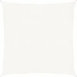 Vidaxl Sunshade Sail Hdpe Square 2x2 M White