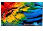 Philips - 43hfl6214u Display Arrotolabile 109,2 Cm (43') 4k Ultra Hd Smart Tv Wi-fi