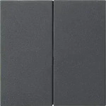 Gira Aufsatz 536228 S3000 2f System 55 Anthrazit