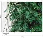 A.s.creations - A.s. Creation Fototapete Livingwalls The Wall 382411 Ein Motiv Pro