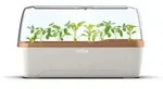 Boqube Gew&auml;chshaus & Pflanzkasten-system 41x17x23cm Mit Bel&uuml;ftung Creme/kupfergold