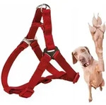 Trixie Hundegeschirr M 50-65 Cm/20 Mm Rot Mit Verschluss