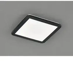 Trio - Camillus Square Deckenleuchte Led Dimmbar Schwarz Ip44 30x30 Cm Lighting