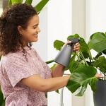 Elho&reg; Br&uuml;ssel Blumenspr&uuml;her Anthrazit Matt 0,7 Liter - Kunststoff