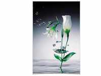 XXL Poster Wassertropfen Fotografie Blume Wandposter Kinderzimmer 115x175cm -...