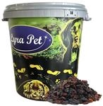 10 Kg Lyra Pet Rosinen In 30 L Tonne